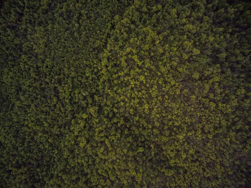 اجاره اداری و تجاری 650 متری در ونک - تصویر 3