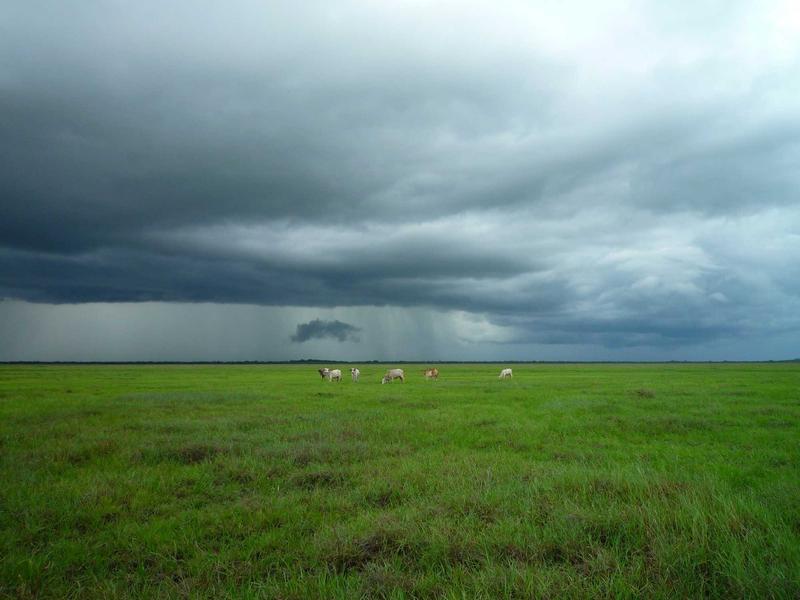 اجاره اداری و تجاری 20 متری در تهرانپارس جنوبی - تصویر 4