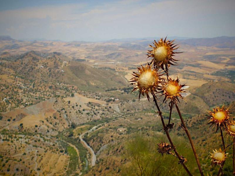 اجاره اداری و تجاری 24 متری در چیتگر جنوبی - تصویر 3