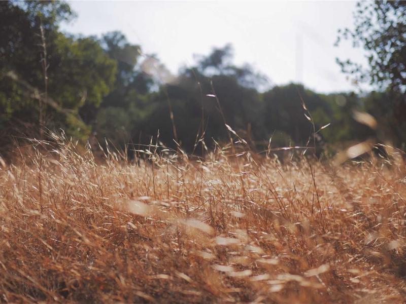 اجاره اداری و تجاری 80 متری در فلاح - تصویر 3