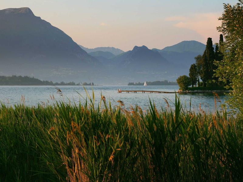 اجاره اداری و تجاری 19 متری در نازی‌آباد - تصویر 4