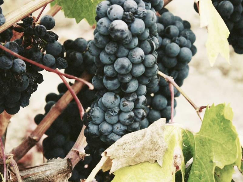 اجاره اداری و تجاری 120 متری در شمس‌آباد - تصویر 4