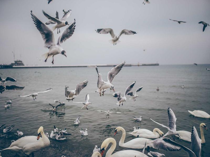 فروش آپارتمان 76 متری در ازگل - تصویر 3