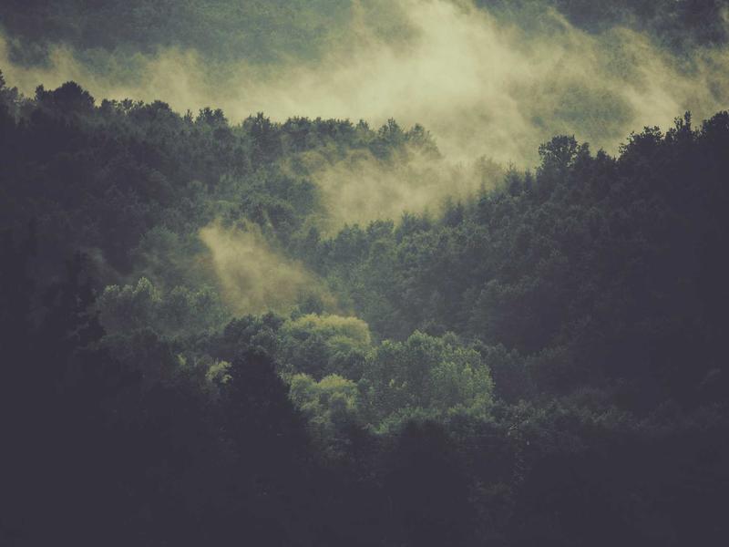 اجاره اداری و تجاری 90 متری در اسفندیاری - تصویر 3