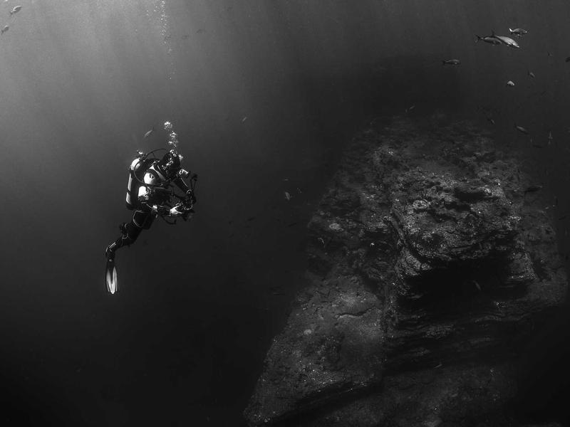 اجاره آپارتمان 170 متری در عباس‌آباد - تصویر 3