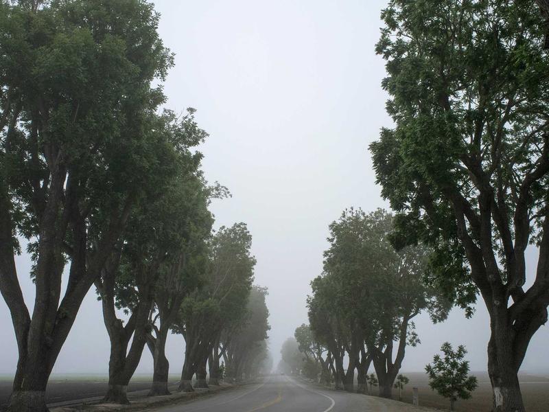 اجاره خانه و ویلا 200 متری در اتحاد - تصویر 2
