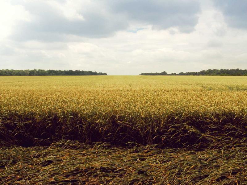 اجاره اداری و تجاری 50 متری در الهیه - تصویر 3