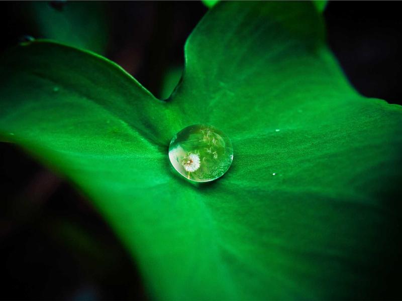 اجاره آپارتمان 60 متری در مینابی - تصویر 2