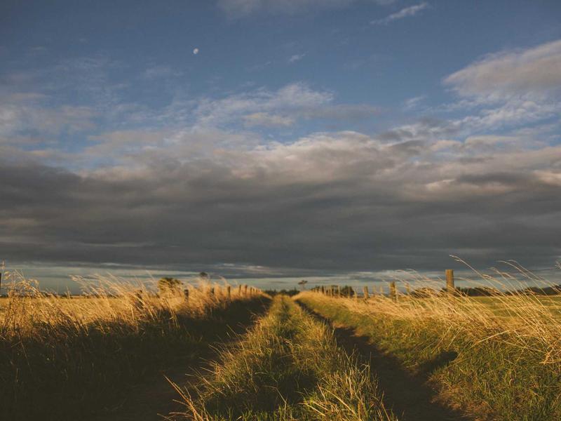 اجاره اداری و تجاری 20 متری در خلیج فارس - تصویر 2