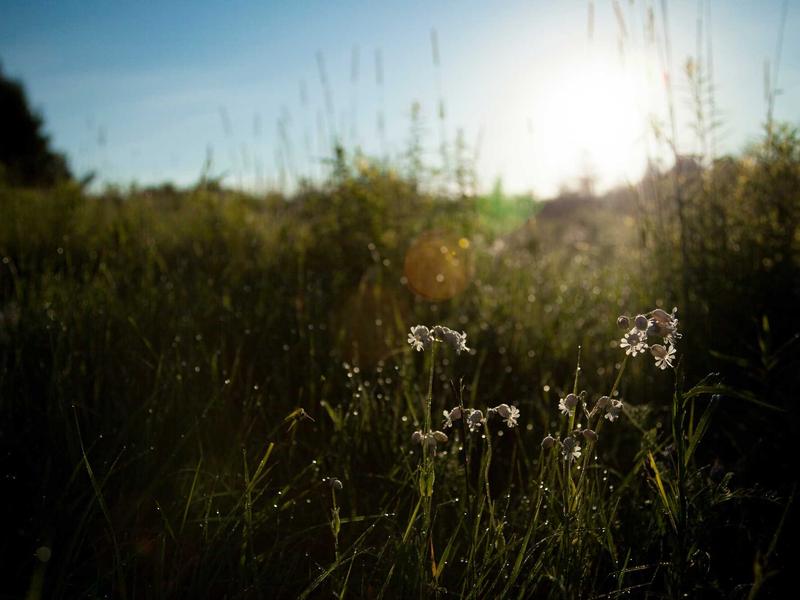 اجاره آپارتمان 50 متری در شمیران‌نو - تصویر 3