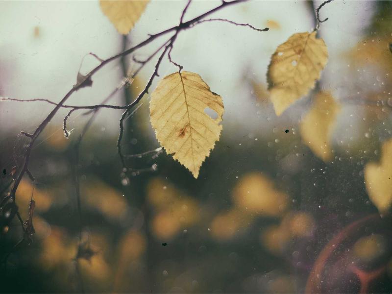 فروش خانه و ویلا 31 متری در خزانه - تصویر 3