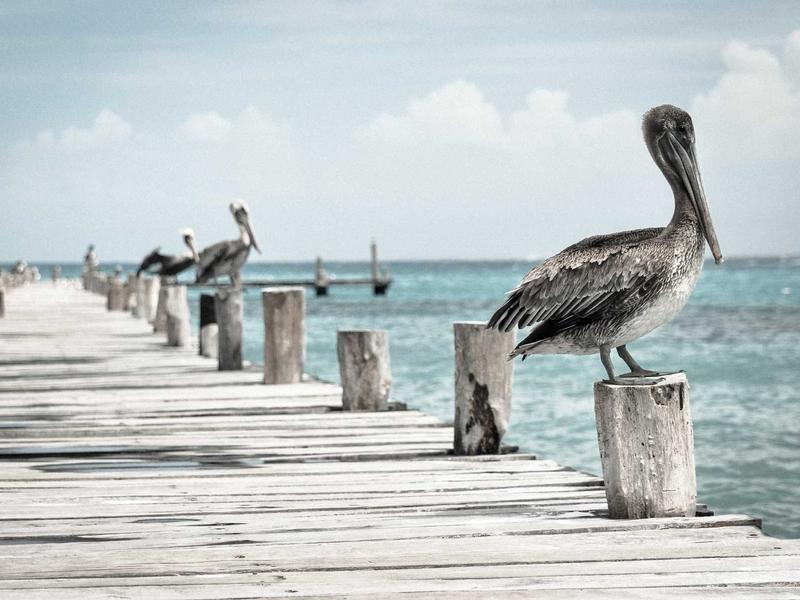 اجاره اداری و تجاری 45 متری در نیلوفر - تصویر 2