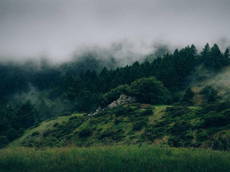 آپارتمان 48 متری در خیابان سپه - تصویر 2