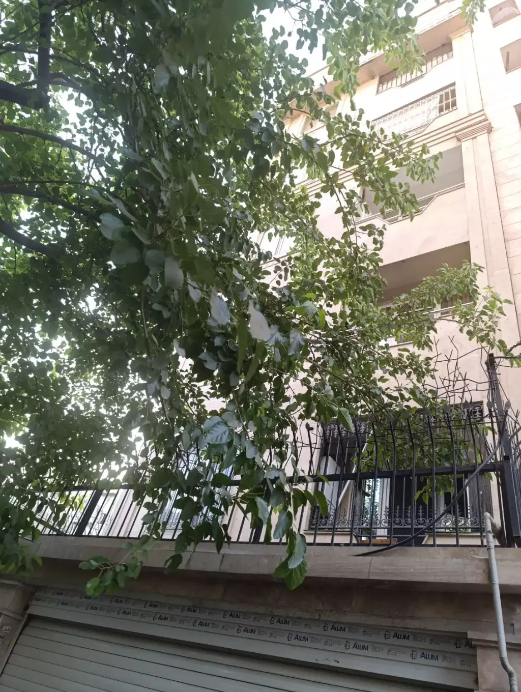 رهن آپارتمان 100متر دو خواب فول - تصویر 15