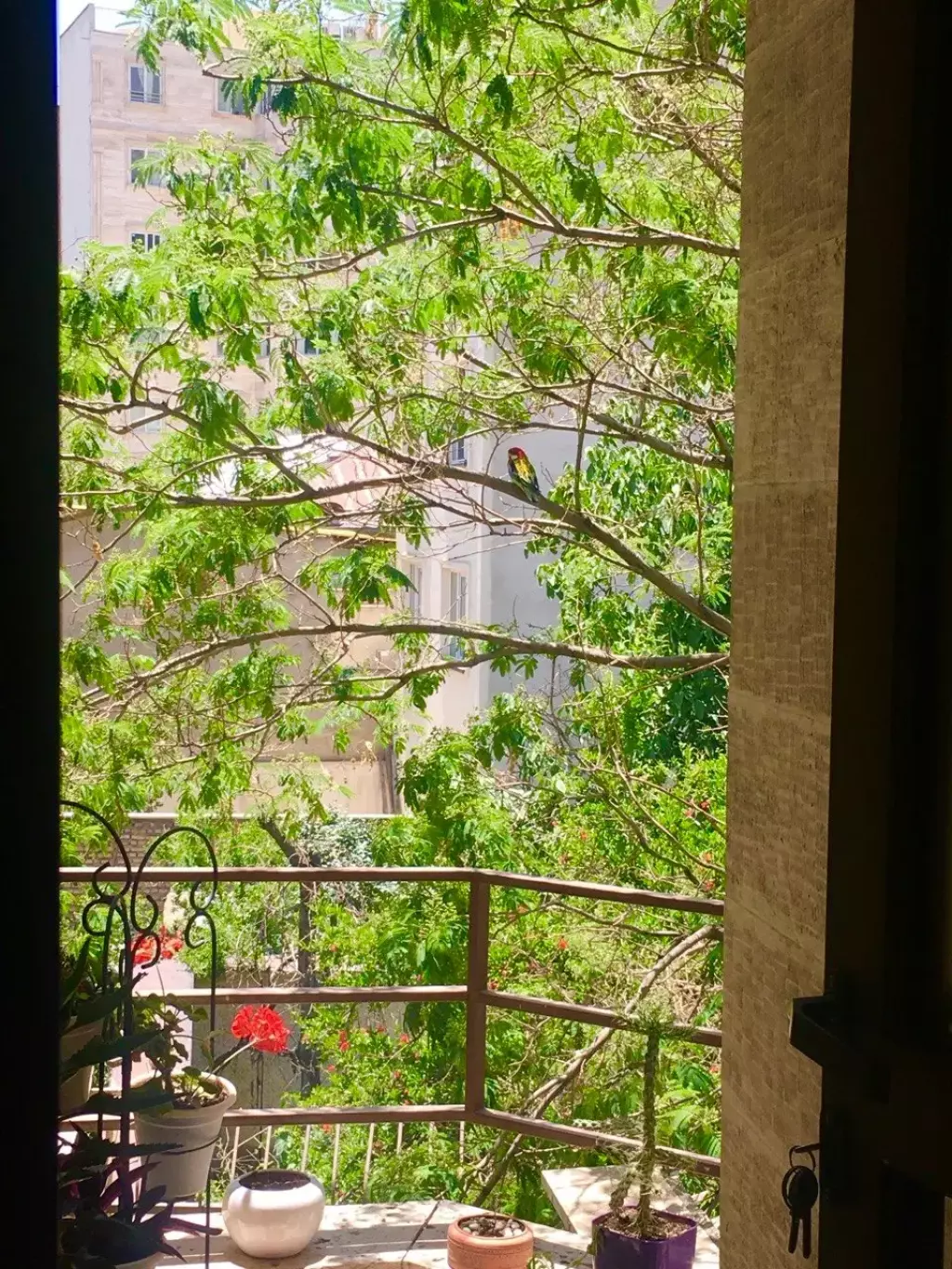 واحد 95 متری/ دو خواب/ بالکن باصفا و قابل چیدمان - تصویر 2