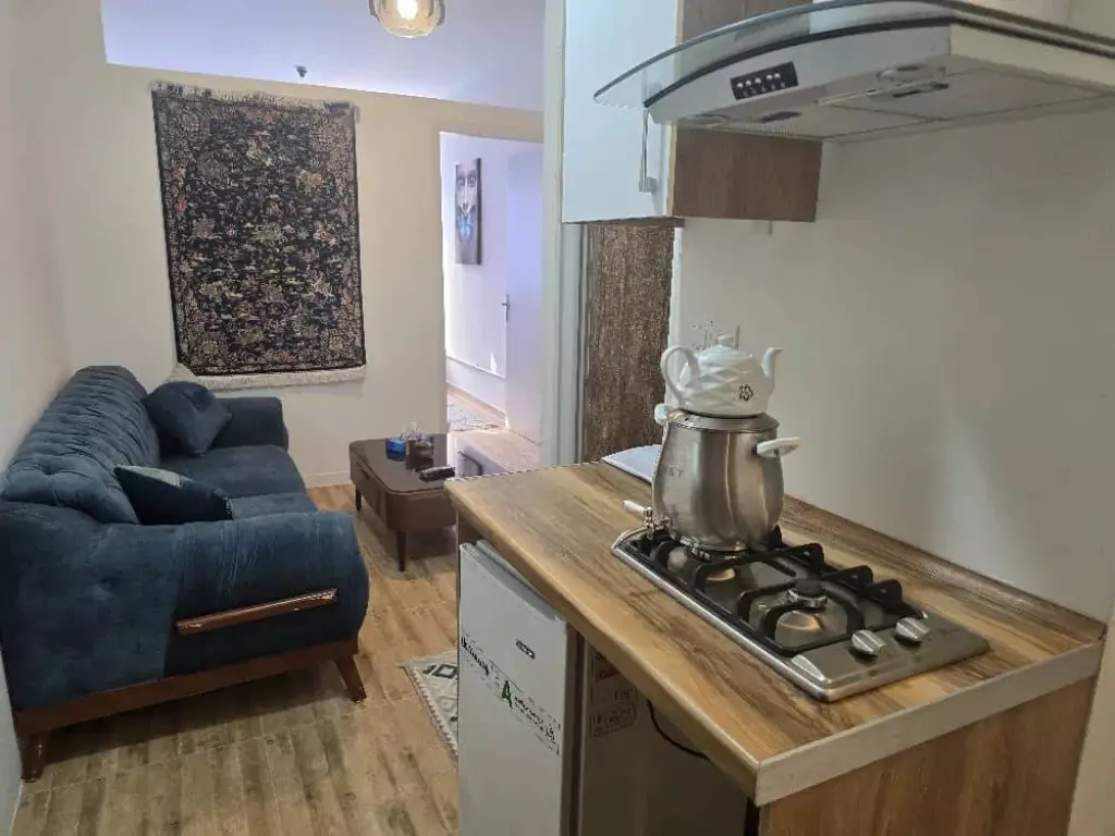 اجاره سوئیت های تمیز در شرق و غرب - تصویر 18