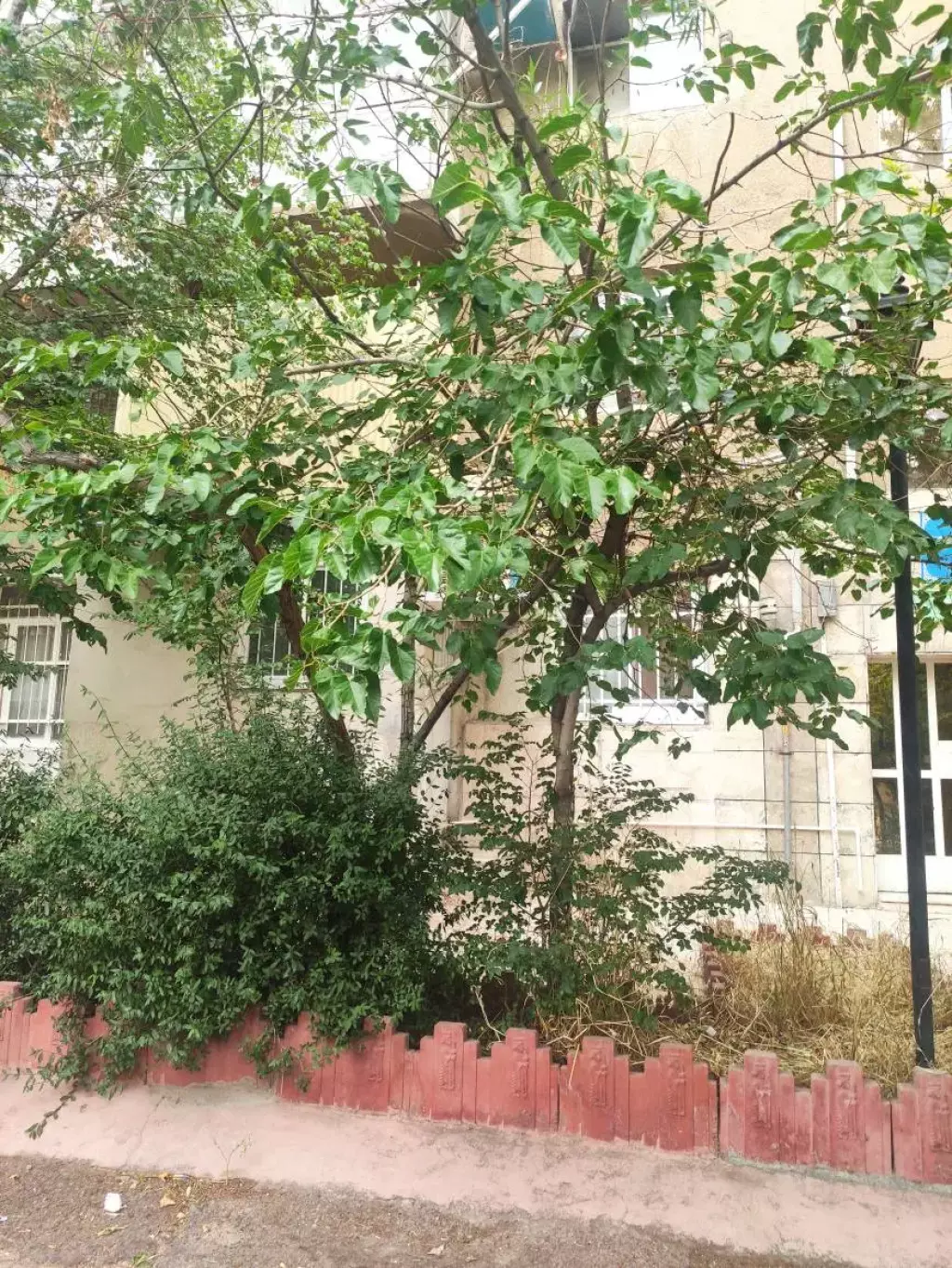 اجاره آپارتمان 60 متری - تصویر 3