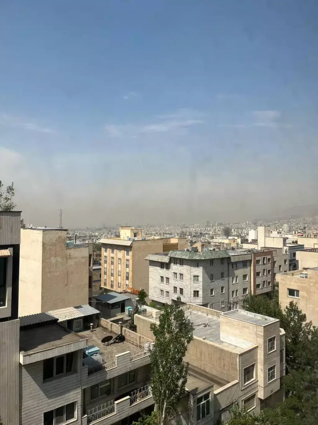 101 متر سوهانک ژورنالی - تصویر 8