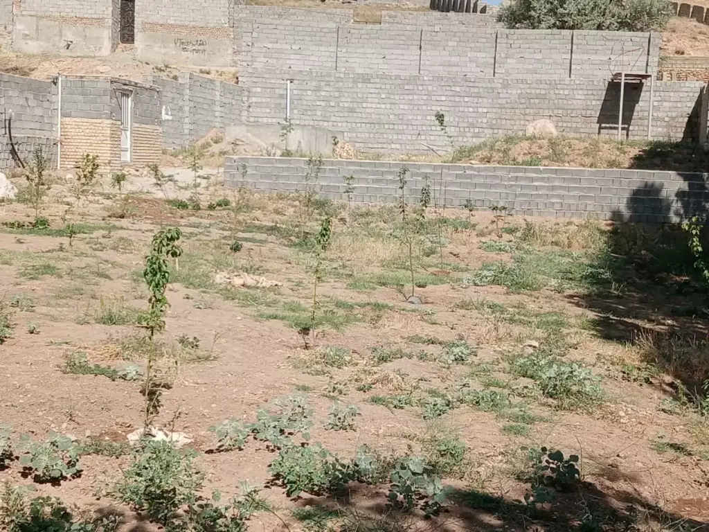 باغ 1000 متری نزدیک تهران - تصویر 3