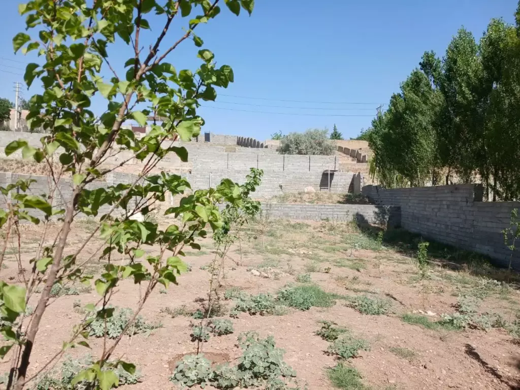 باغ 1000 متری نزدیک تهران - تصویر 6