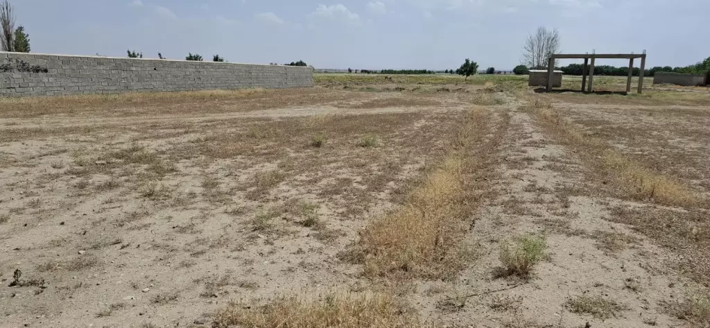 فروش یک قطعه زمین هزار متری - تصویر 2
