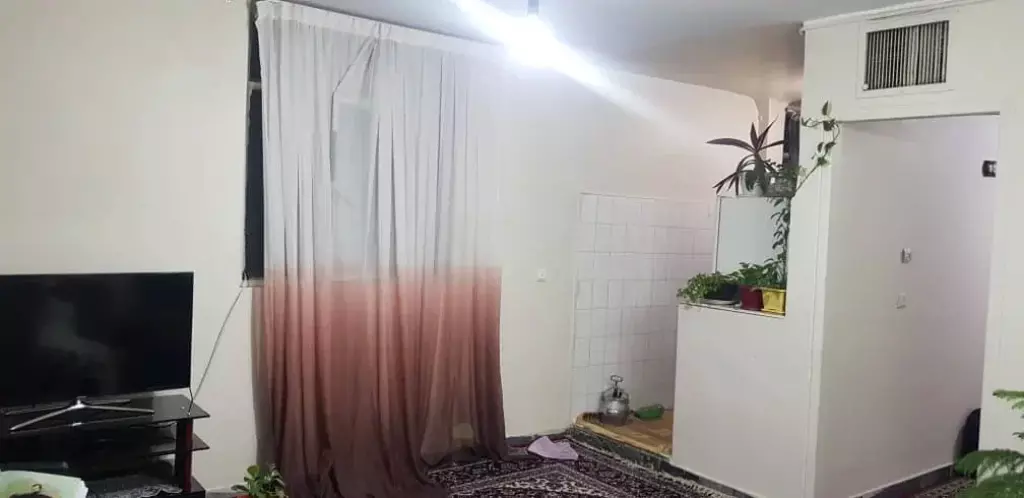 رهن واجاره 45متری - تصویر 3