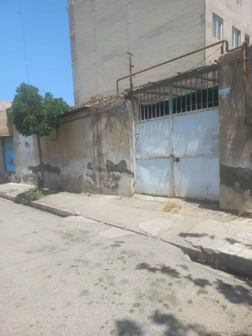 ملک کلنگی - تصویر 4