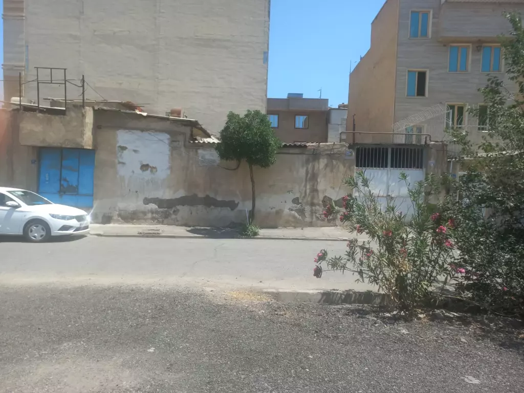 ملک کلنگی - تصویر 3