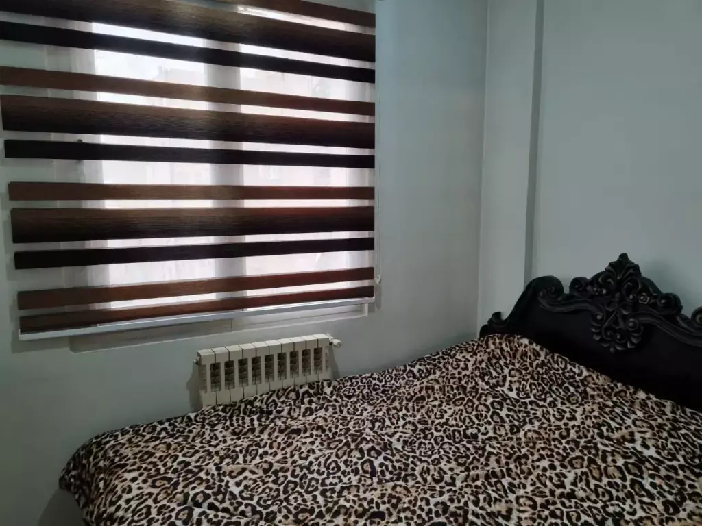 اجاره آپارتمان شیک اجاره کوتاه مدت - تصویر 15