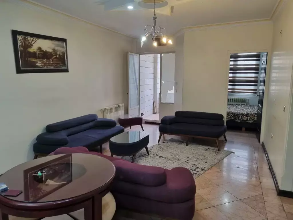اجاره آپارتمان شیک اجاره کوتاه مدت - تصویر 14