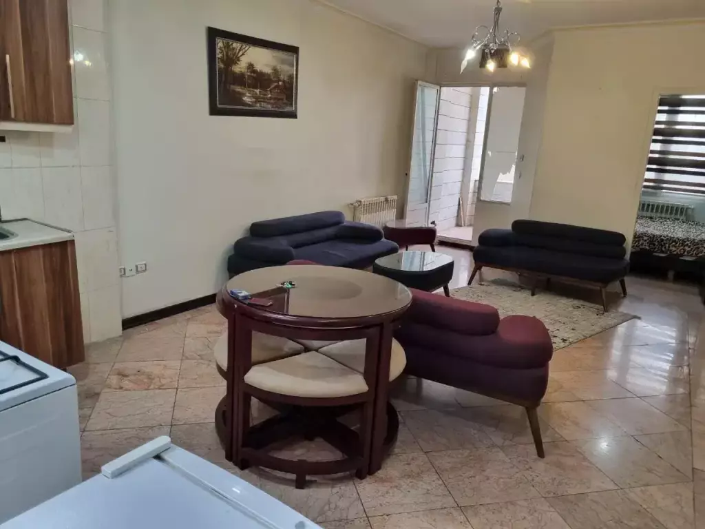 اجاره آپارتمان شیک اجاره کوتاه مدت - تصویر 16