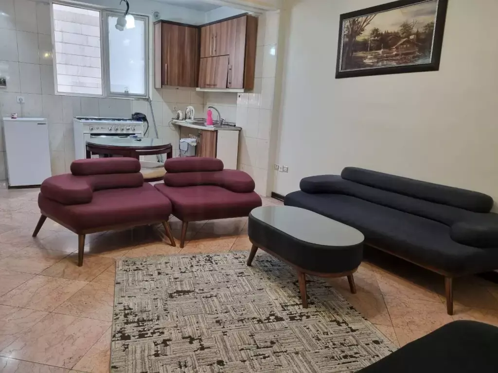 اجاره آپارتمان شیک اجاره کوتاه مدت - تصویر 17