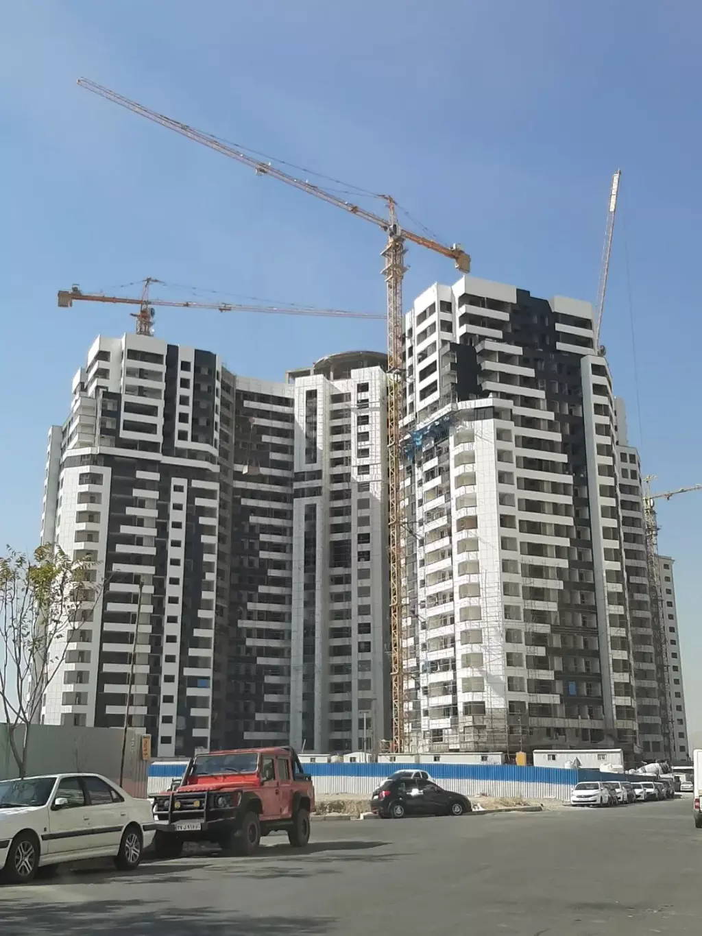فروش امتیاز شمیم رحمت3 / نخل
