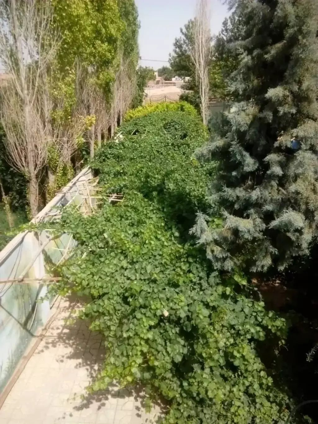 خانه هزار متری مناسب سکونت و کار تولیدی. تهاتر - تصویر 4