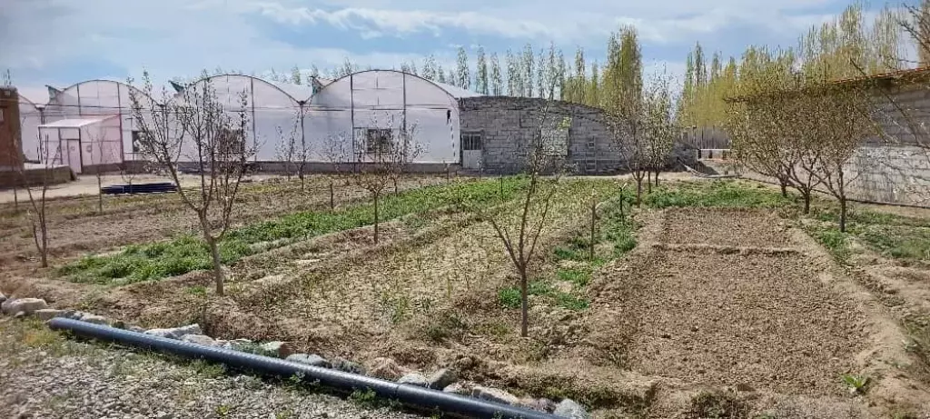 فروش گلخانه هیدروپونیک بعلت تغییرمکان/واقع درسلماس - تصویر 4