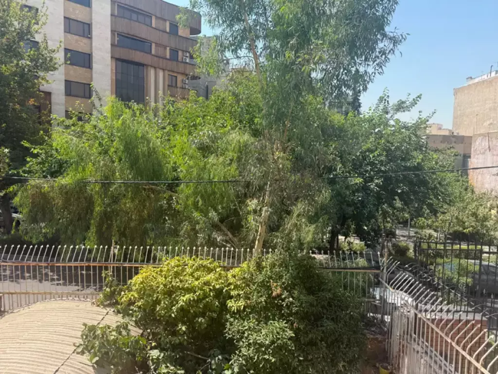 جهان آرا 185 متر بر 8 گذر 12 - تصویر 6