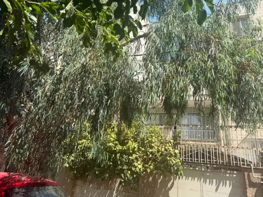 جهان آرا 185 متر بر 8 گذر 12 - تصویر 3