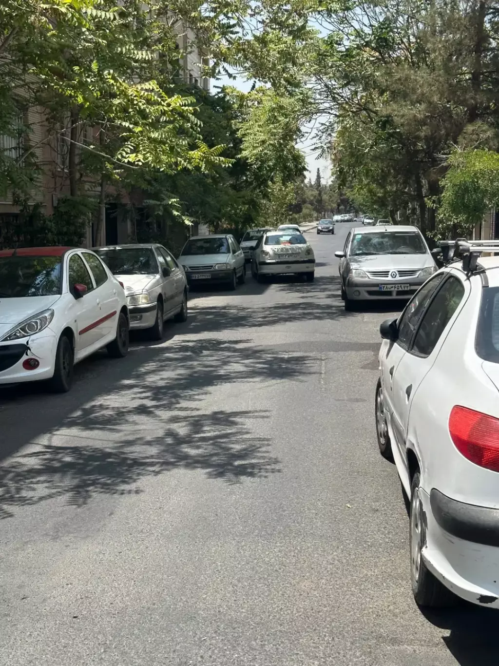 78 متر/مرزداران،ابراهیمی