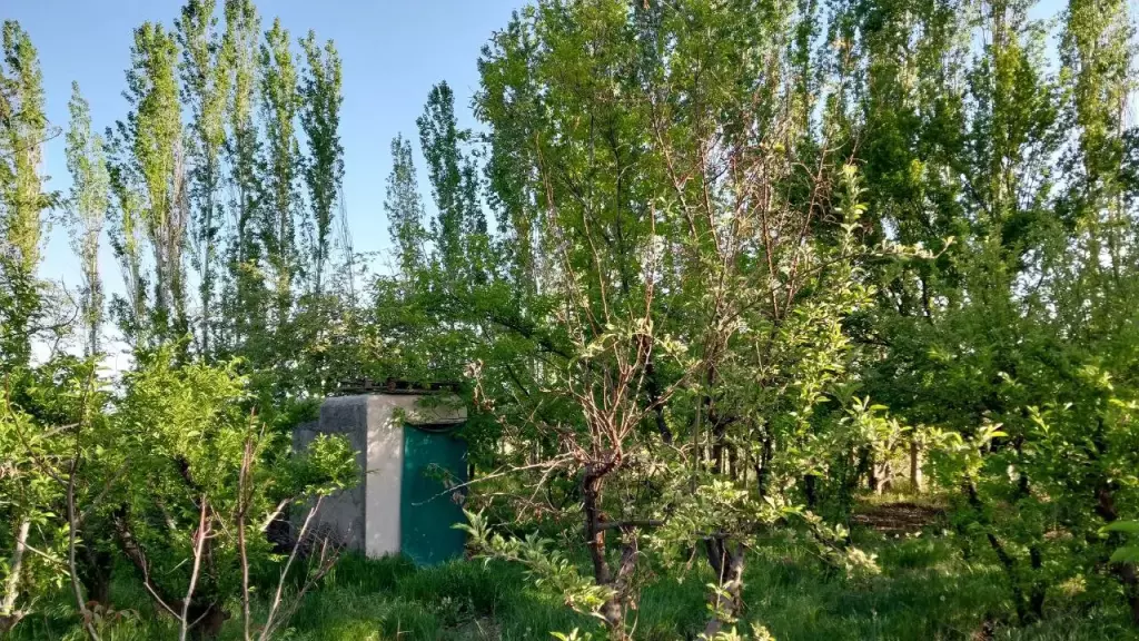 فروش باغ میوه - تصویر 2