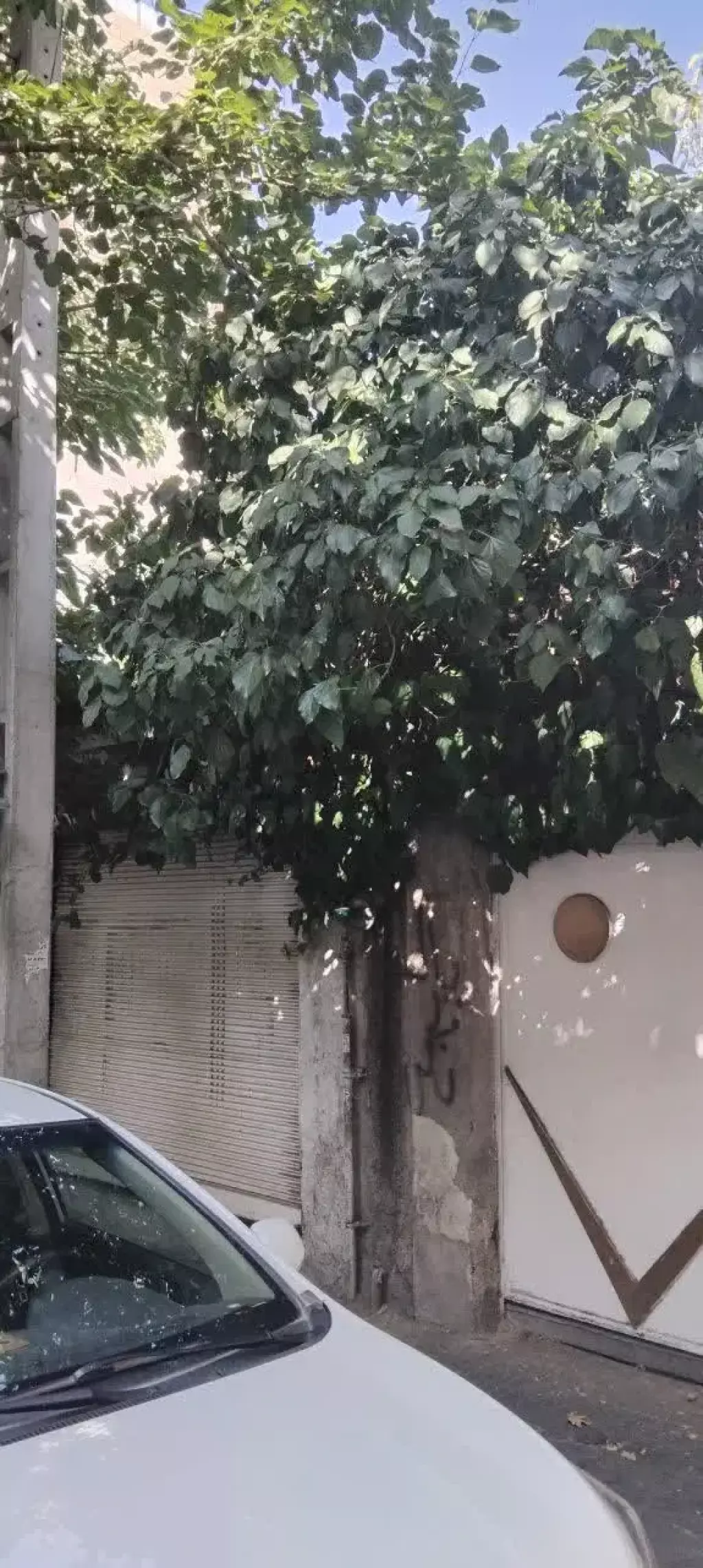فروش ملک ویلایی کلنگی