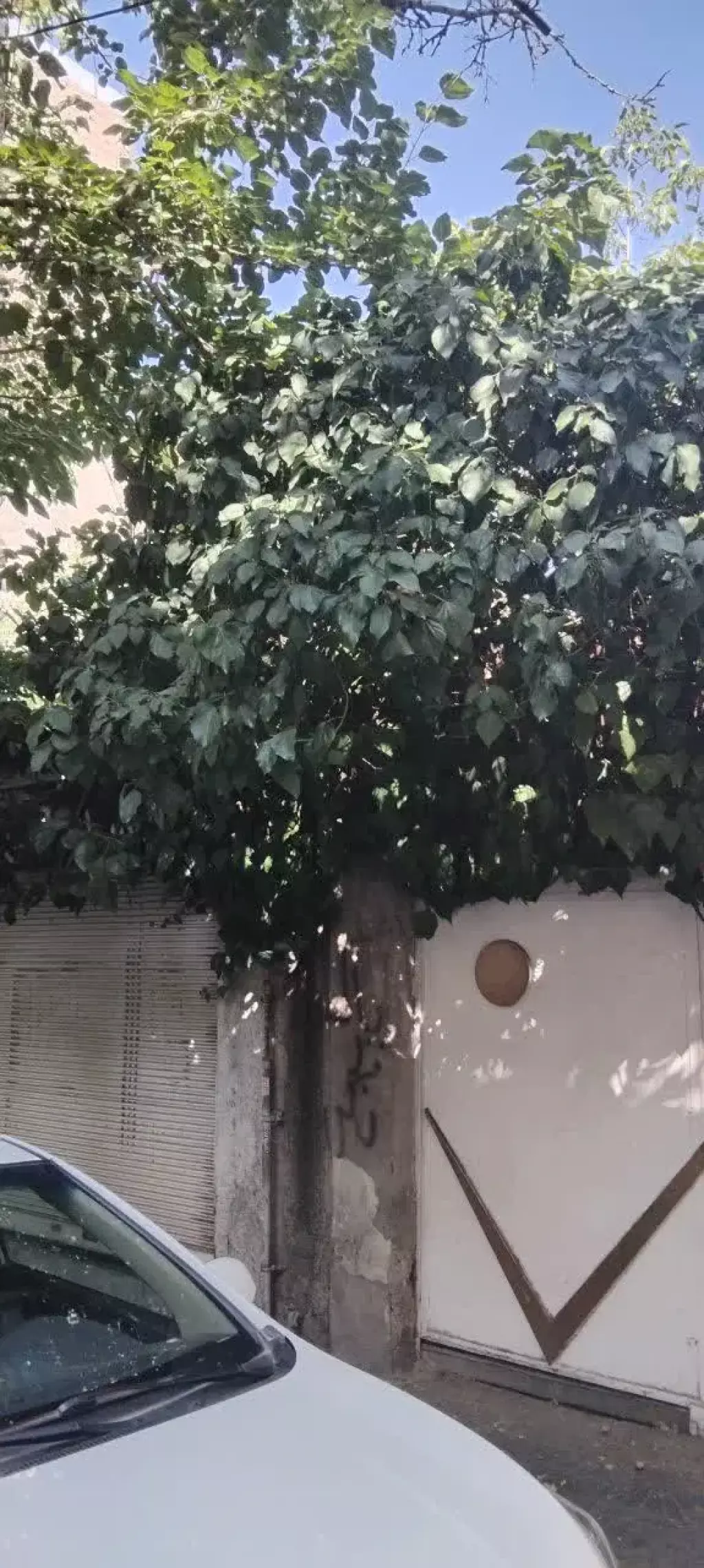 فروش ملک ویلایی کلنگی - تصویر 5