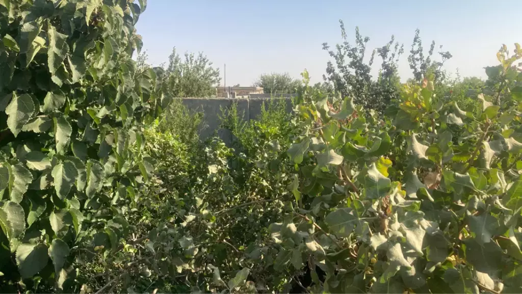 فروش ملک - تصویر 6