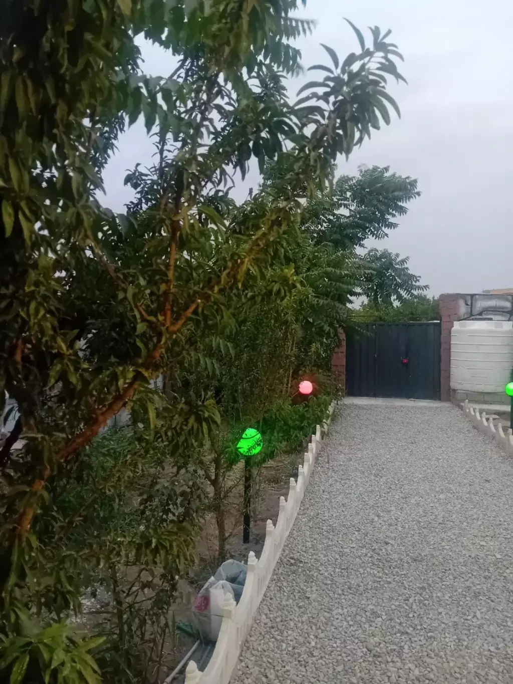 باغچه سند مادره - تصویر 5