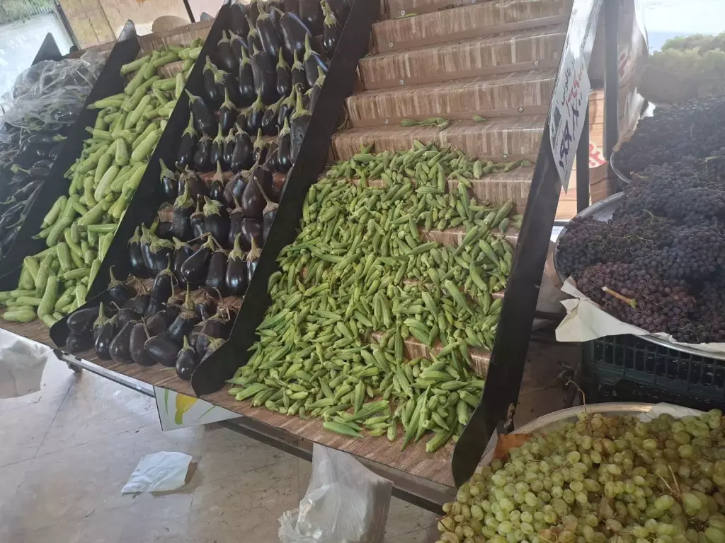 مغازه میوه فروشی - تصویر 20