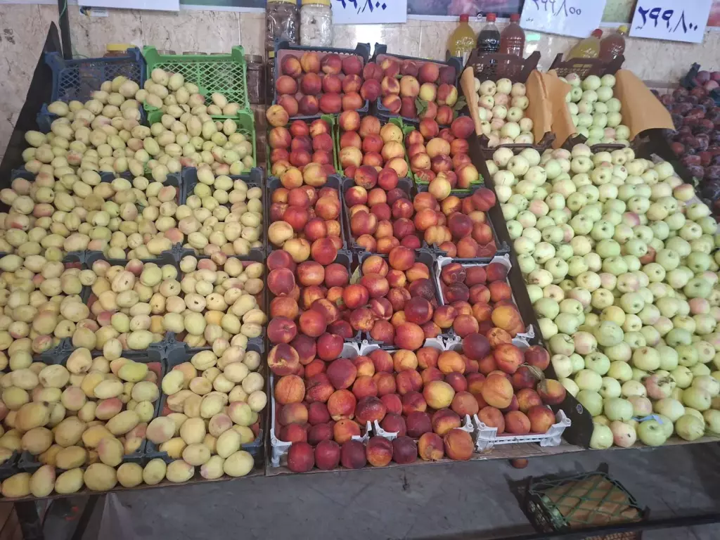 مغازه میوه فروشی - تصویر 19