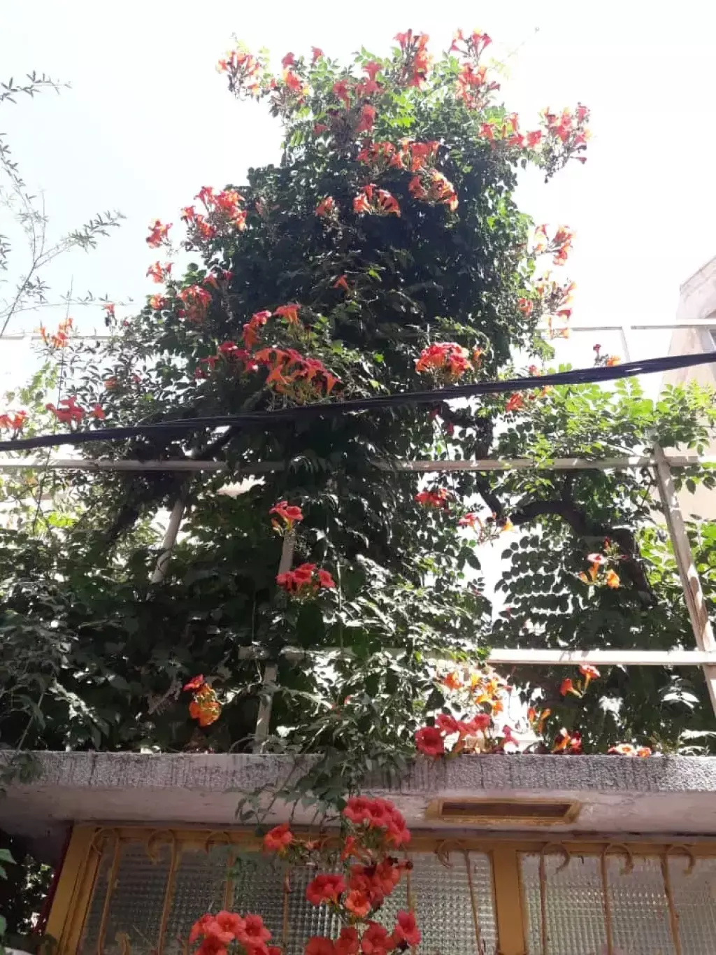 فروش خانه ویلایی در نیاوران - تصویر 5