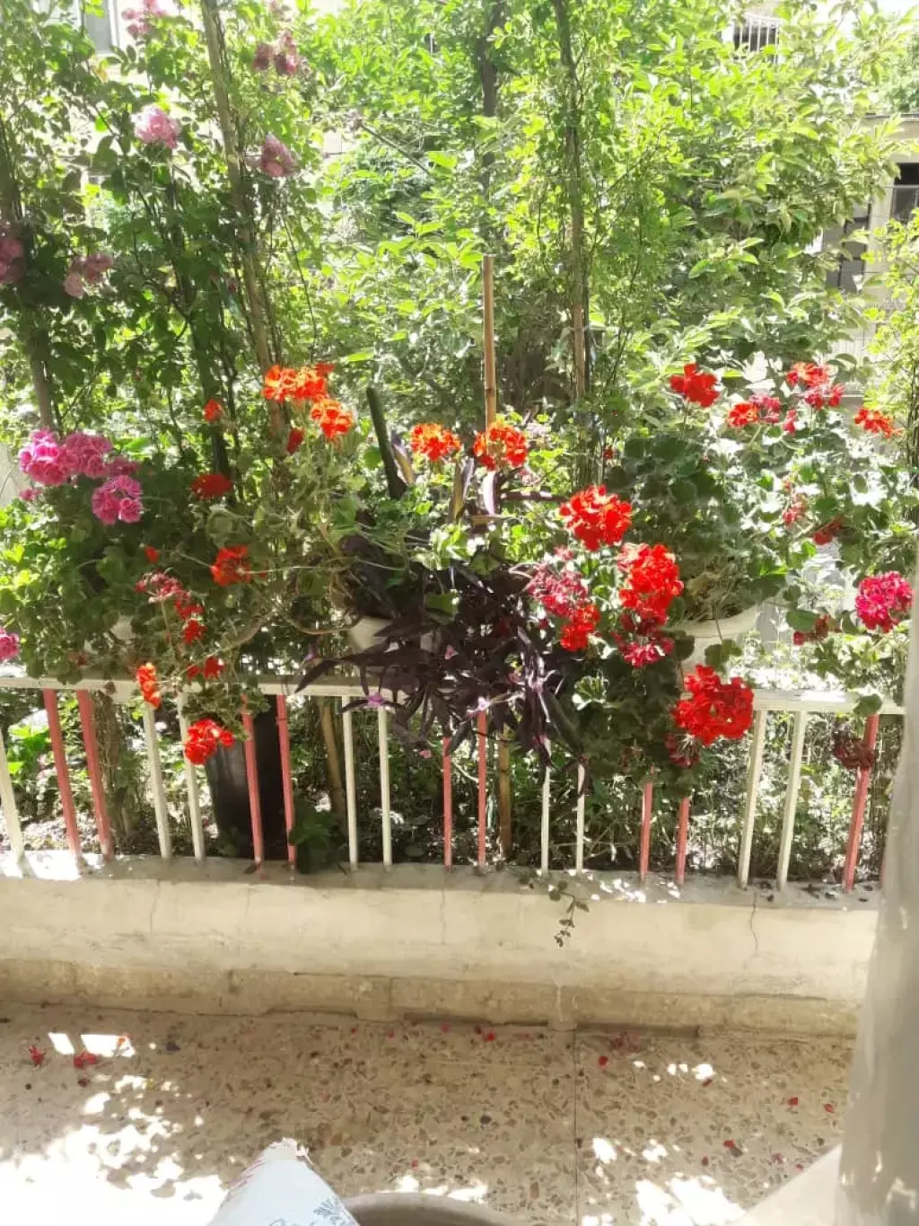 فروش خانه ویلایی در نیاوران - تصویر 4