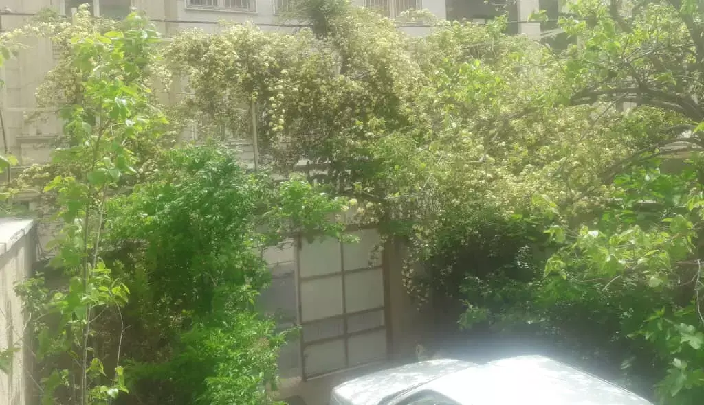 فروش خانه ویلایی در نیاوران - تصویر 3