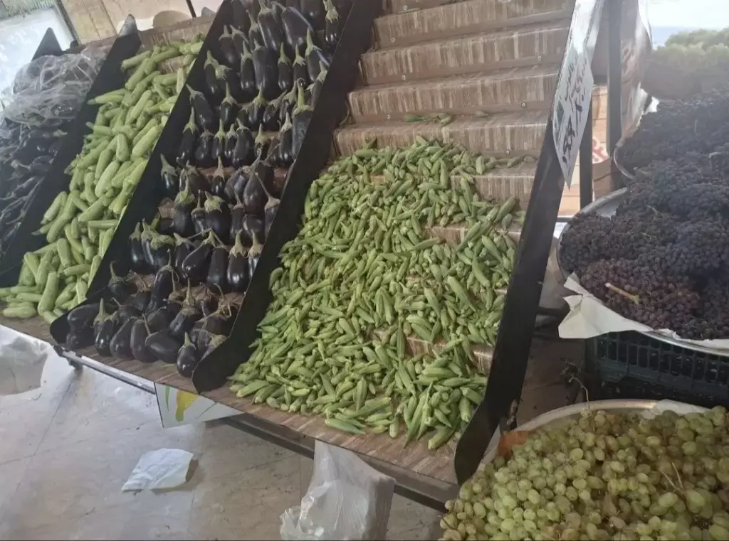 مغازه میوه فروشی  دژاکام خیابان گیلکی - تصویر 3