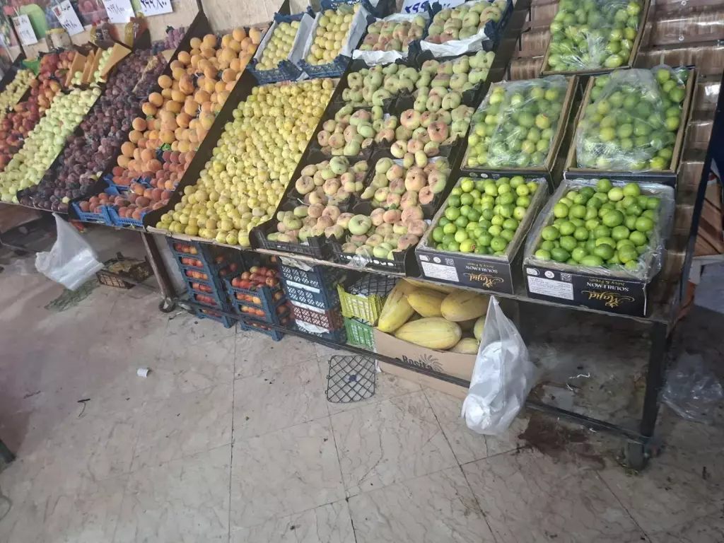 مغازه میوه فروشی  دژاکام خیابان گیلکی - تصویر 7